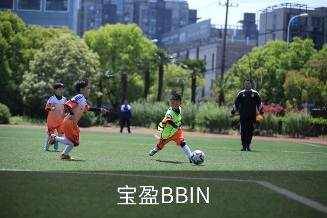 宝盈BBIN公司简介图片